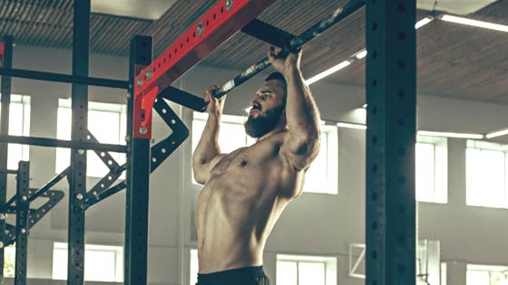 Programme musculation