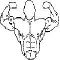 Avatar du membre