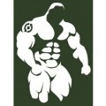 Avatar du membre