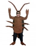 Avatar du membre