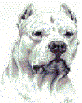 Avatar du membre