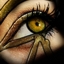 Avatar du membre