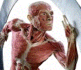 Avatar du membre