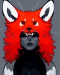 Avatar du membre