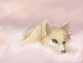 Avatar du membre