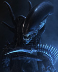 Avatar du membre