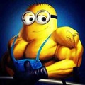 Avatar du membre