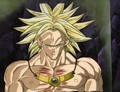Avatar du membre