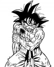 Avatar du membre