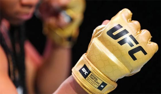 Gants MMA