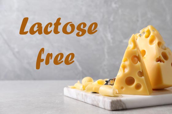 Lactose free diet
