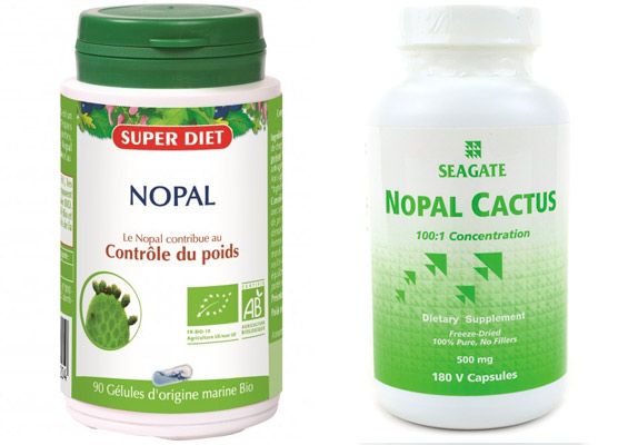 Nopal