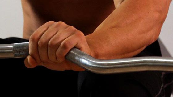 Musculation avant-bras