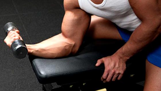 Musculation avant-bras