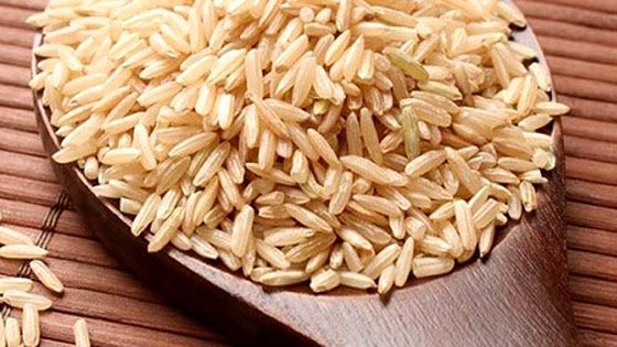 Protéine de riz